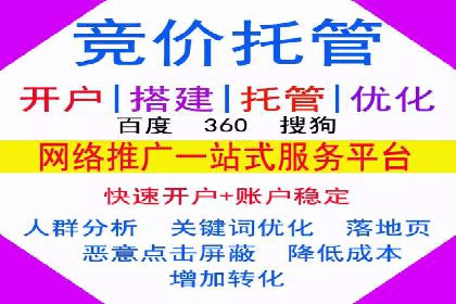 行业领先企业的SEM广告策略与效果分析